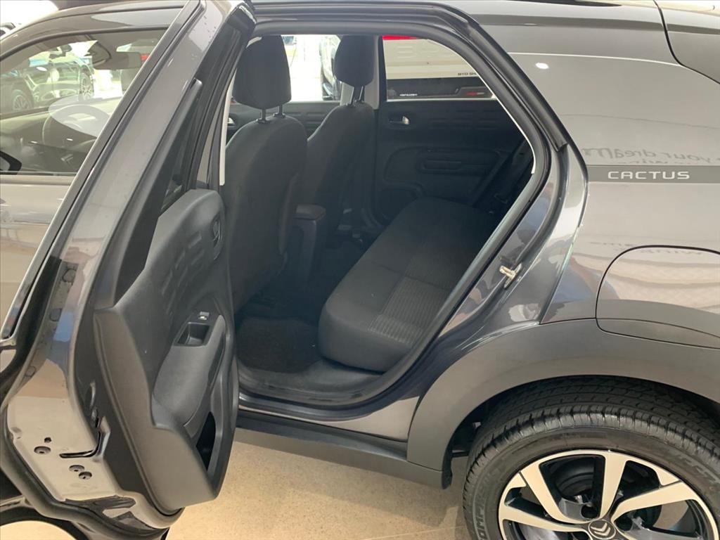 C4 CACTUS 1.6 VTI 120 FLEX FEEL EAT64