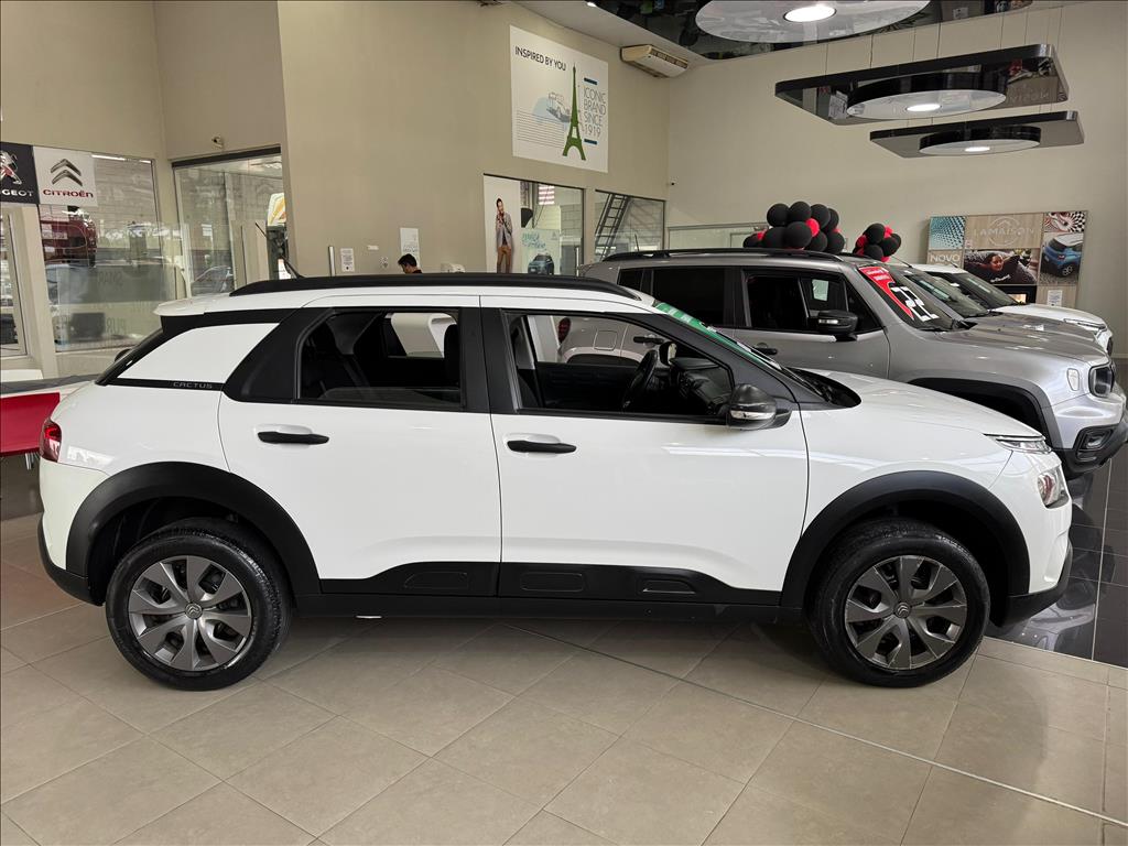 C4 CACTUS 1.6 VTI 120 FLEX FEEL EAT6