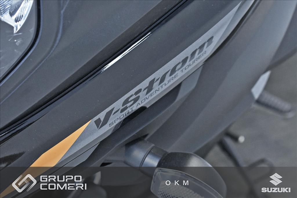 V-STROM 650XT ABS10