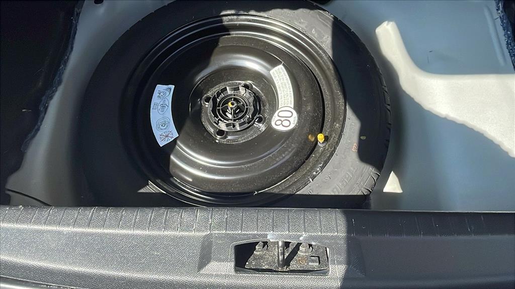 208 1.0 FIREFLY FLEX LIKE MANUAL9