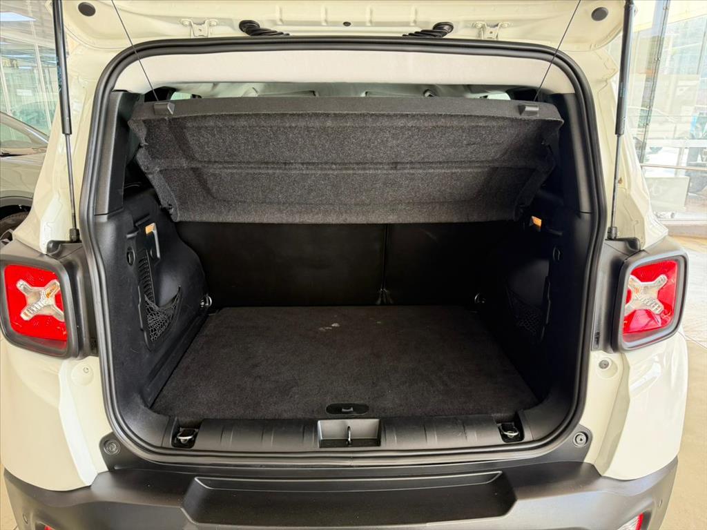 RENEGADE 1.8 16V FLEX 4P MANUAL14