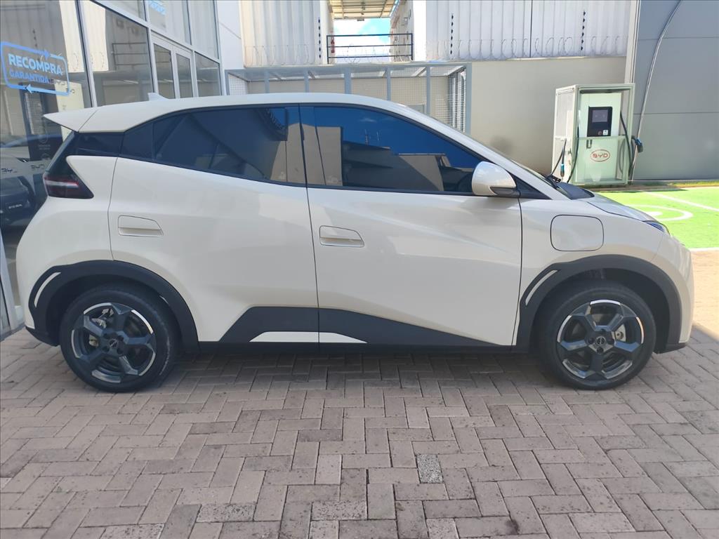 DOLPHIN MINI 38 KW ELÉTRICO3