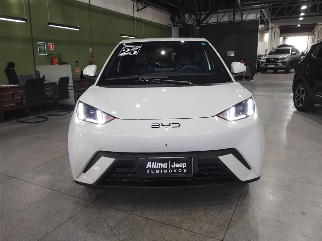 DOLPHIN MINI 38 KW ELÉTRICO 5L1