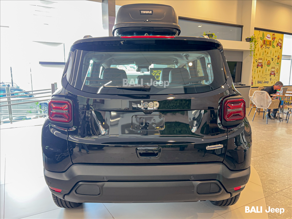 RENEGADE 1.3 T270 TURBO FLEX LONGITUDE AT65