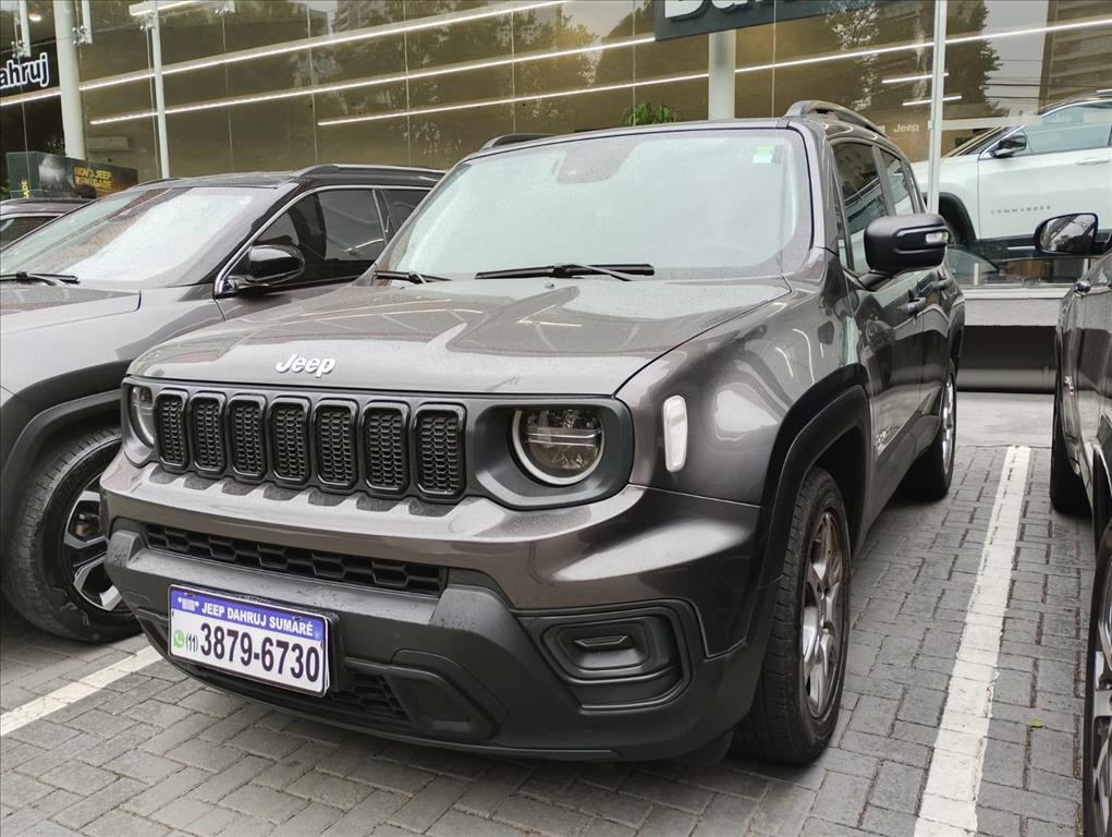 RENEGADE 1.3 T270 TURBO FLEX AT610
