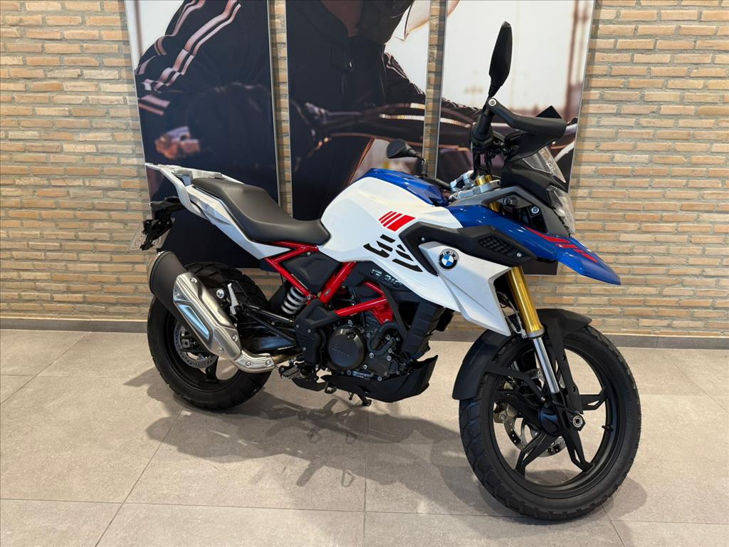 310 GS