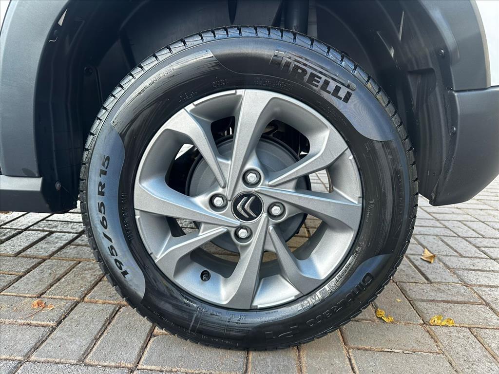 C3 1.0 FIREFLY FLEX FEEL MANUAL8