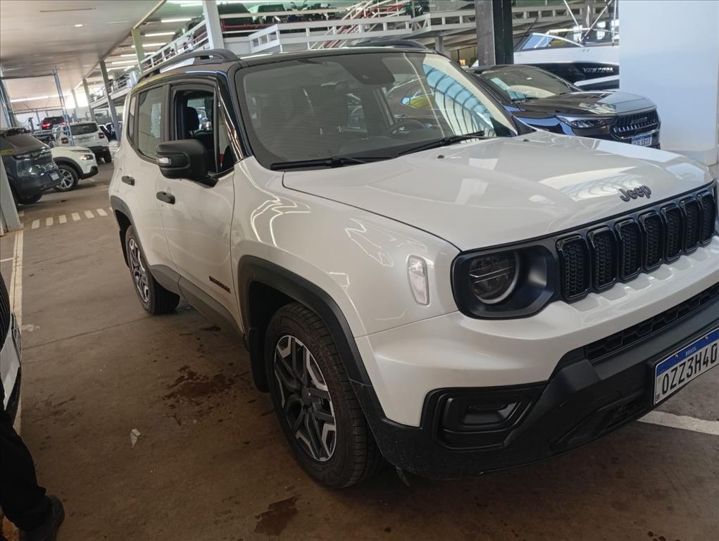 RENEGADE 1.3 T270 TURBO FLEX SAHARA AT61