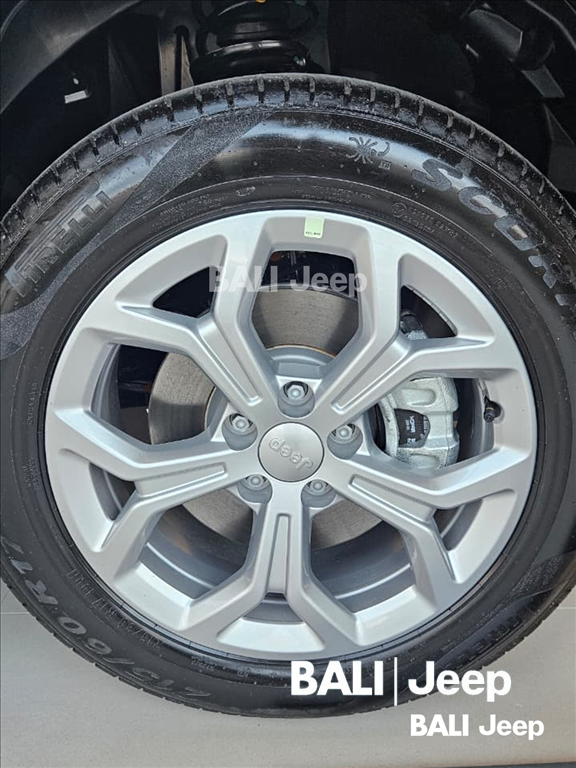 RENEGADE 1.3 T270 TURBO FLEX ALTITUDE AT63