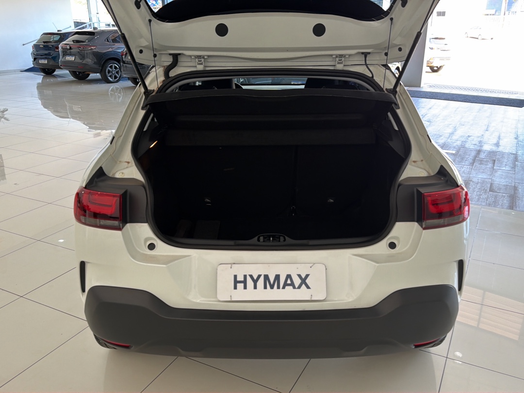 C4 CACTUS 1.6 VTI 120 FLEX FEEL EAT612