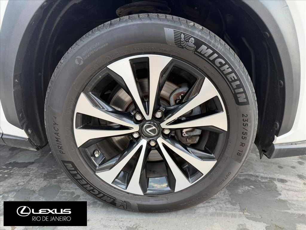 NX 300 2.0 16V VVT-i TURBO GASOLINA F-SPORT 6A/T AWD11