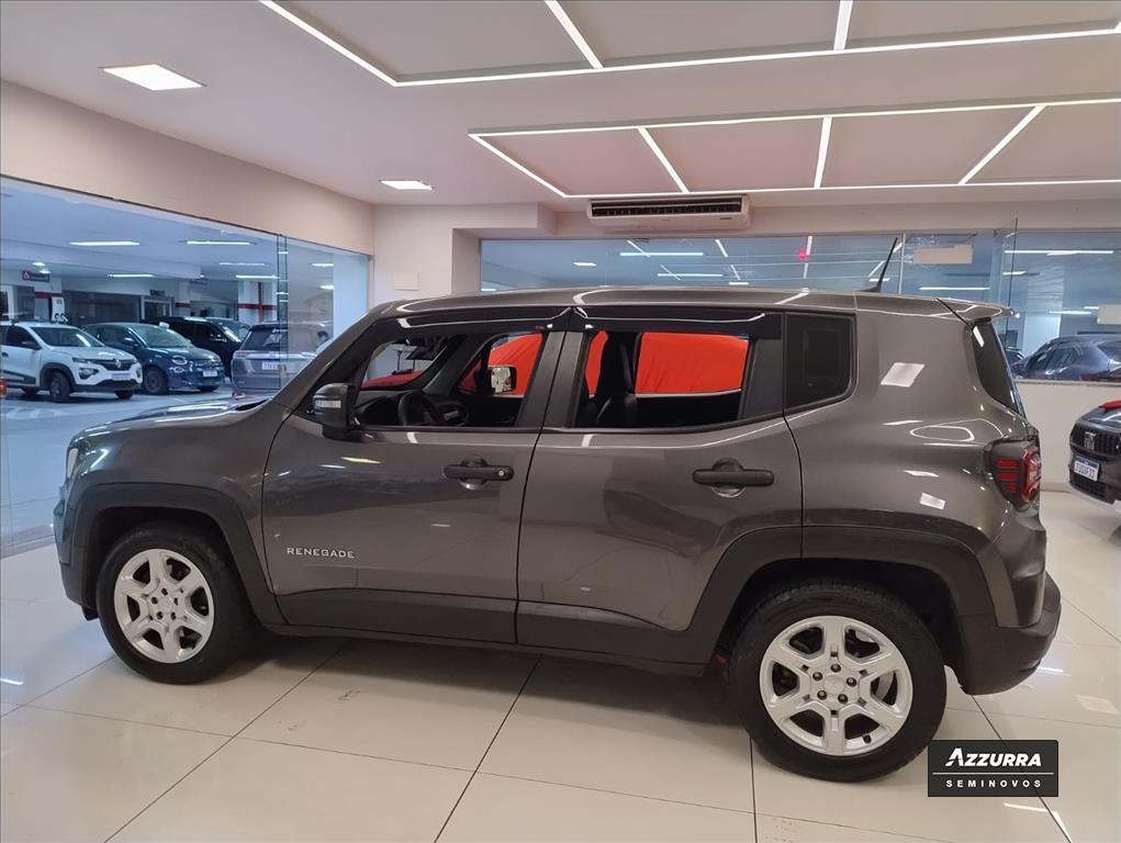 RENEGADE 1.3 T270 TURBO FLEX AT65