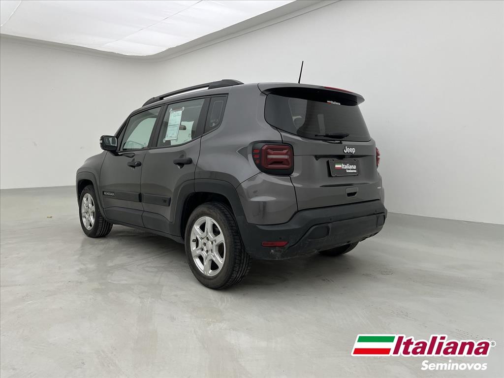 RENEGADE 1.3 T270 TURBO FLEX AT62