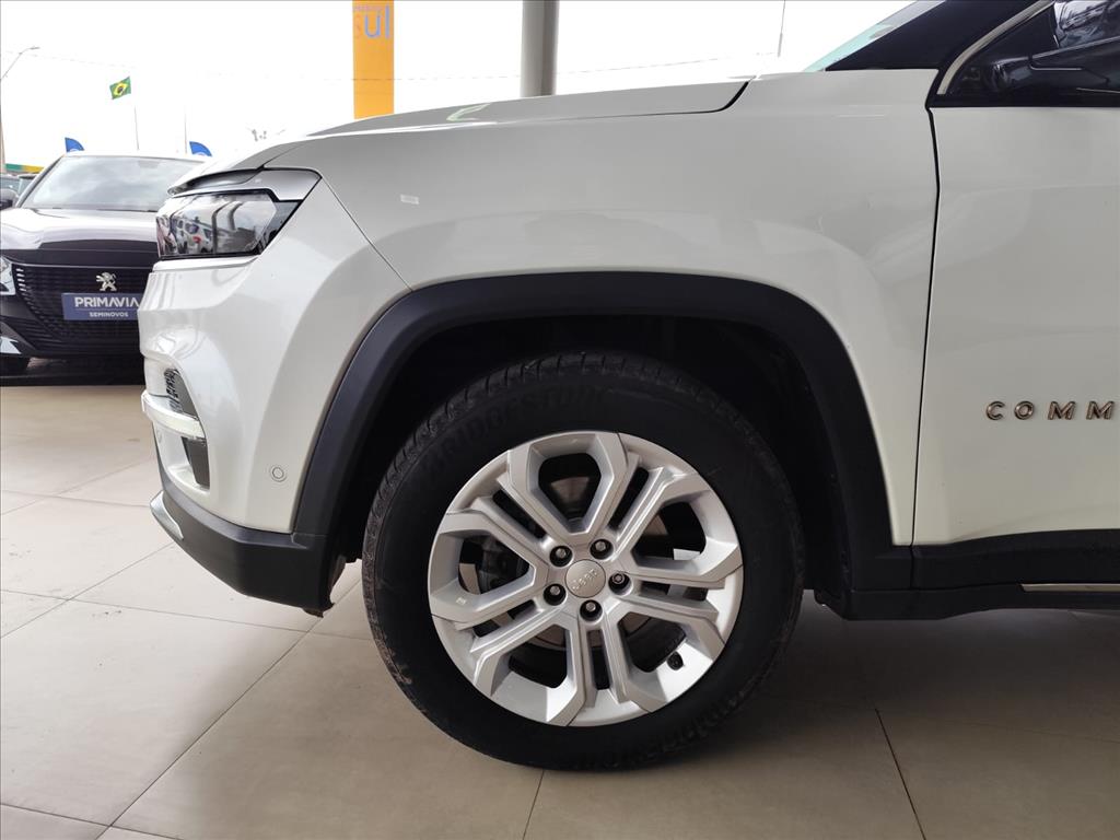 COMMANDER 1.3 T270 TURBO FLEX LONGITUDE AT67