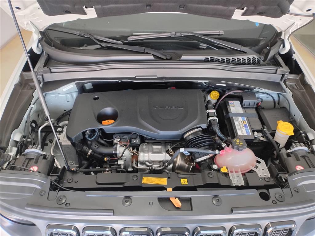 RENEGADE 1.3 T270 TURBO FLEX AT619