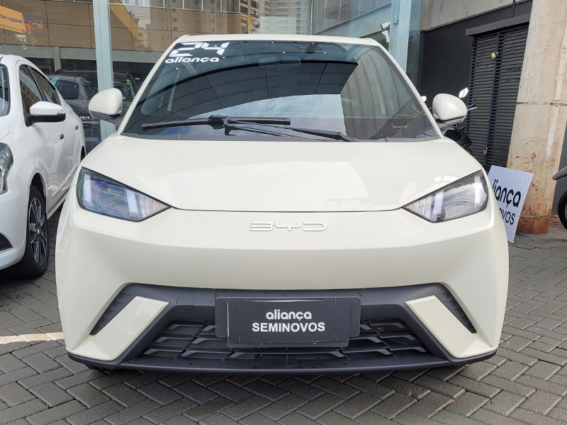 DOLPHIN MINI 38 KW ELÉTRICO1