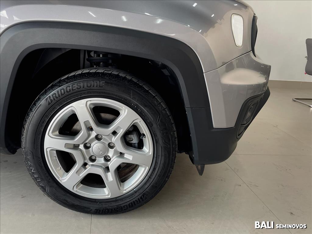 RENEGADE 1.3 T270 TURBO FLEX AT68