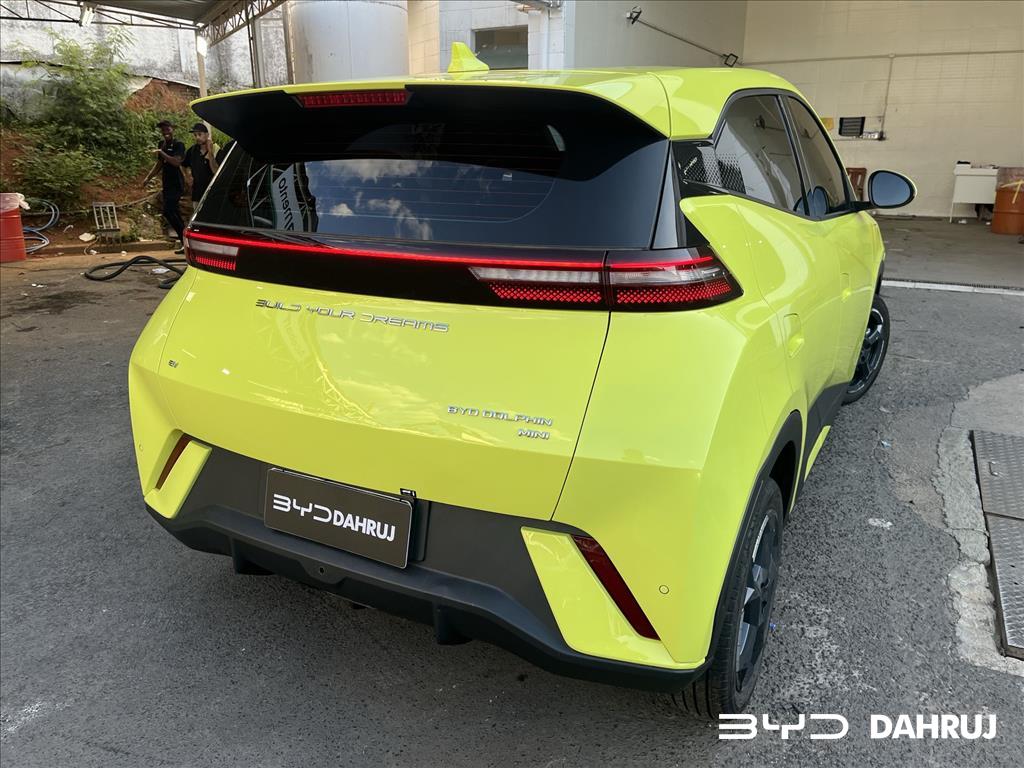 DOLPHIN MINI 38 KW ELÉTRICO17