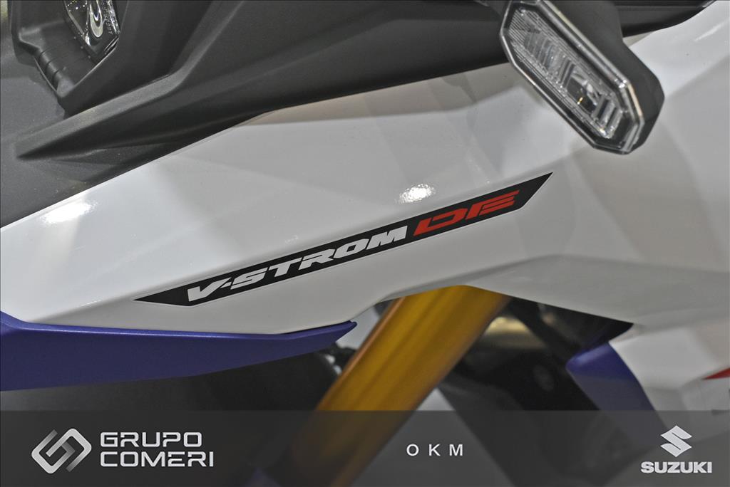 V-STROM 800 DE4