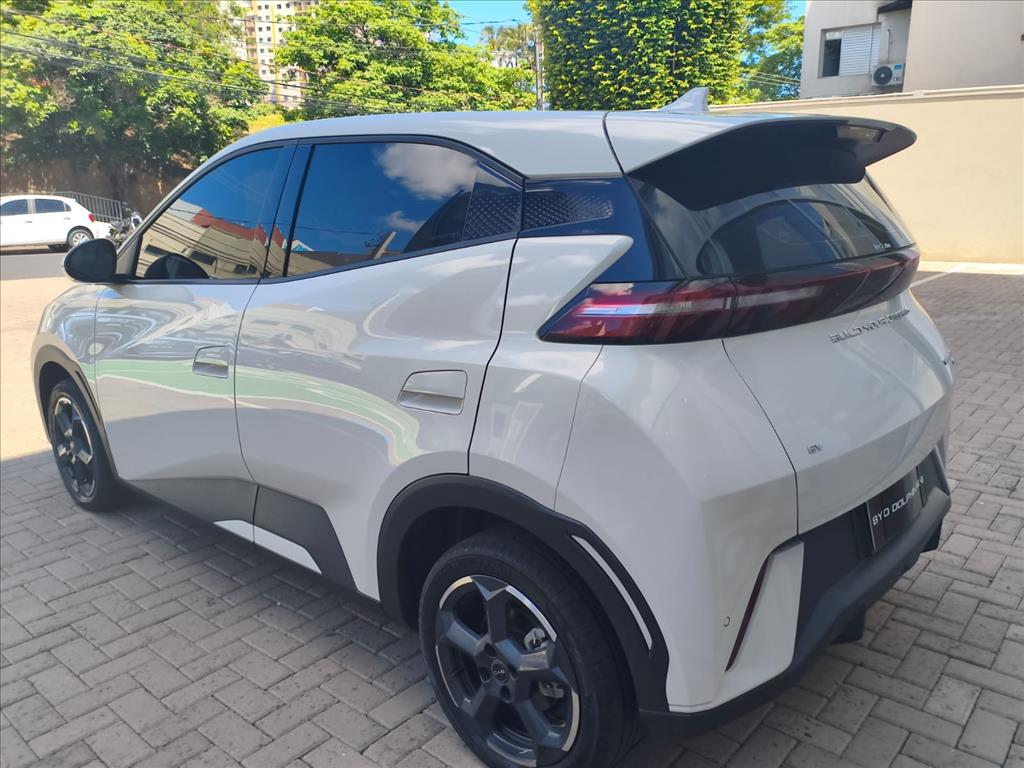 DOLPHIN MINI 38 KW ELÉTRICO6