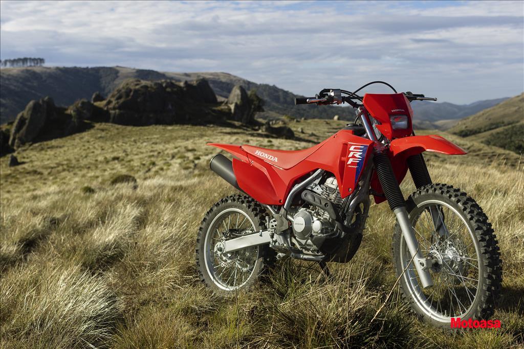 CRF 300F11