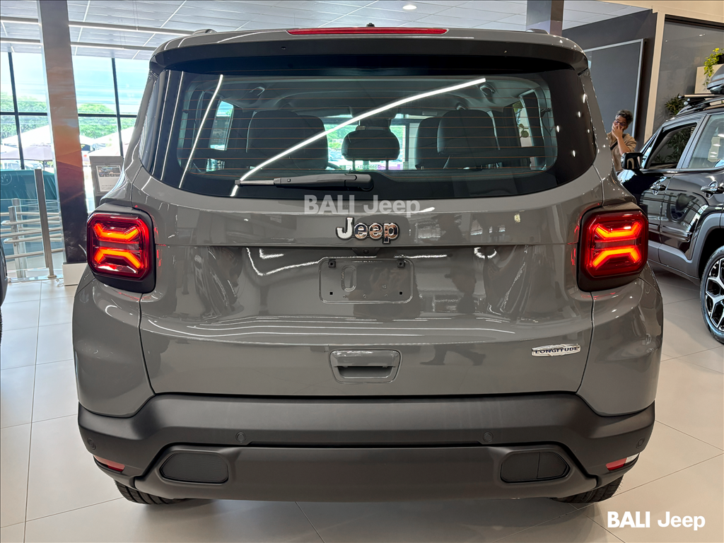 RENEGADE 1.3 T270 TURBO FLEX LONGITUDE AT65