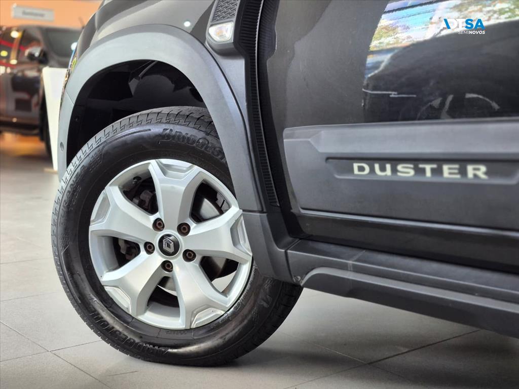 DUSTER