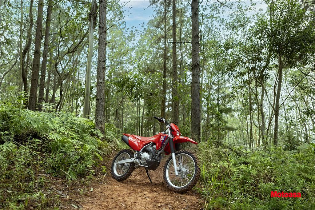 CRF 300F5