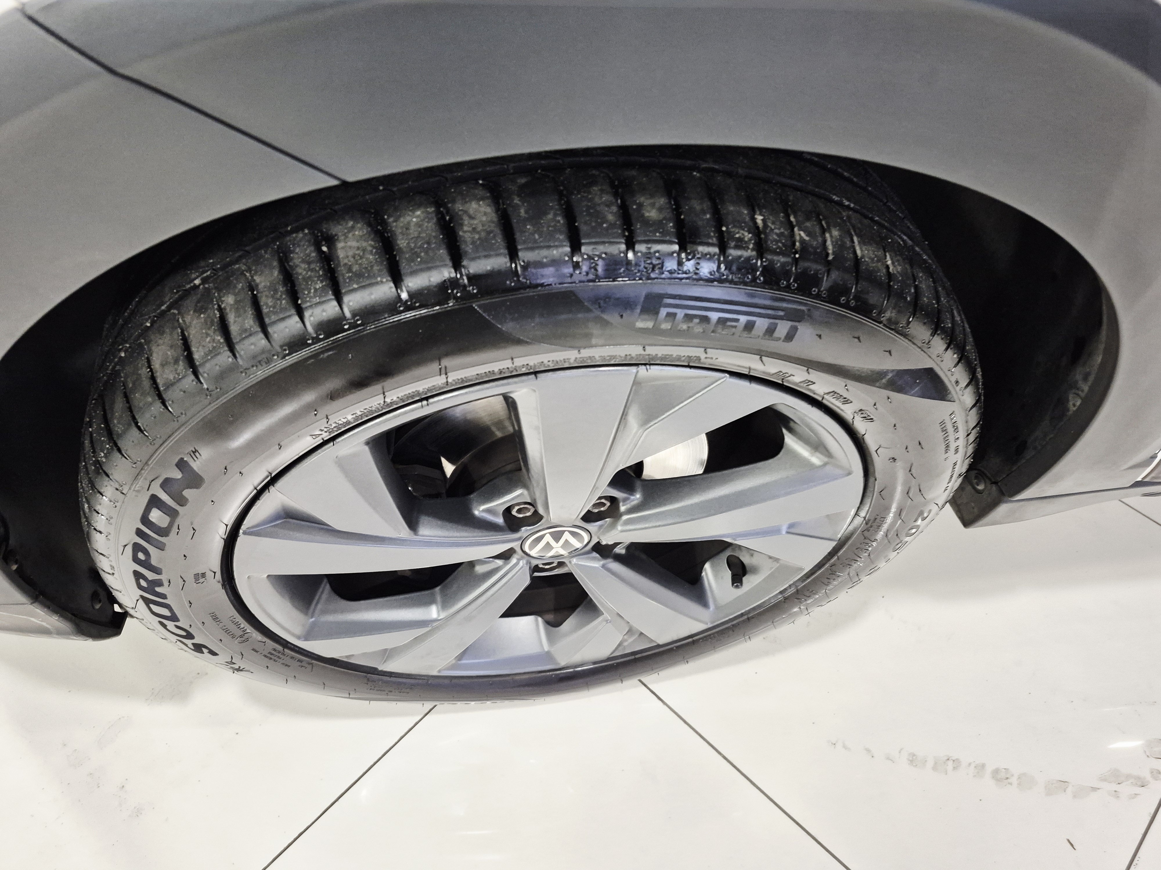 VOLKSWAGEN NIVUS