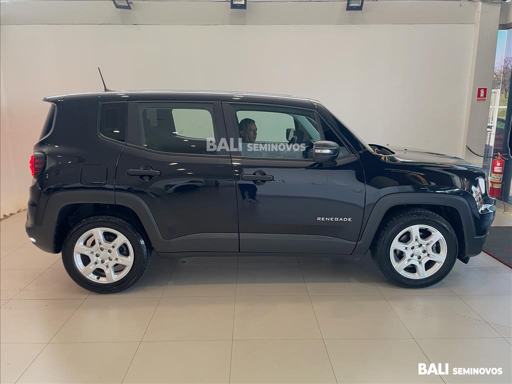 RENEGADE 1.3 T270 TURBO FLEX AT66