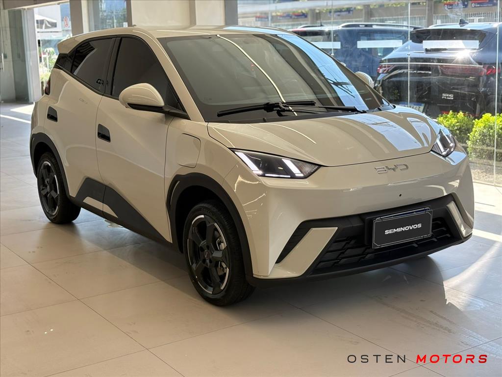 BYD-DOLPHIN MINI-38 KW ELÉTRICO