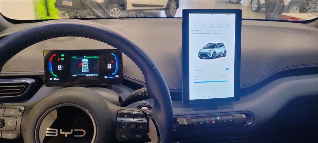 DOLPHIN MINI 38 KW ELÉTRICO7