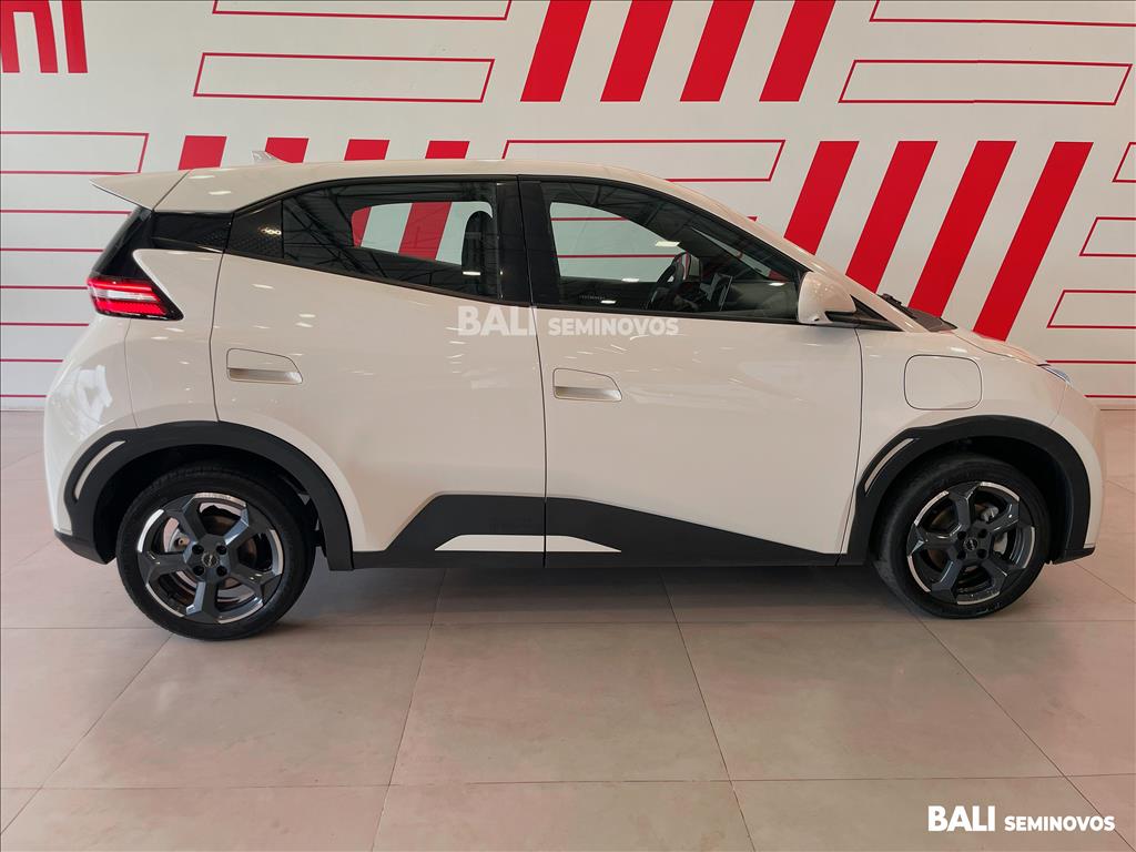 DOLPHIN MINI 38 KW ELÉTRICO6