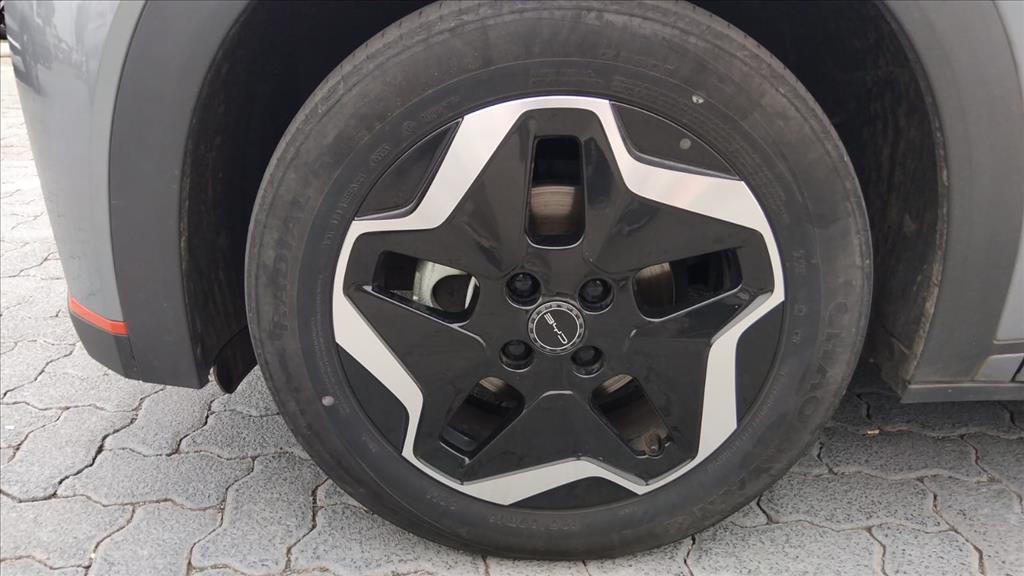 DOLPHIN 44,9 KW ELÉTRICO9