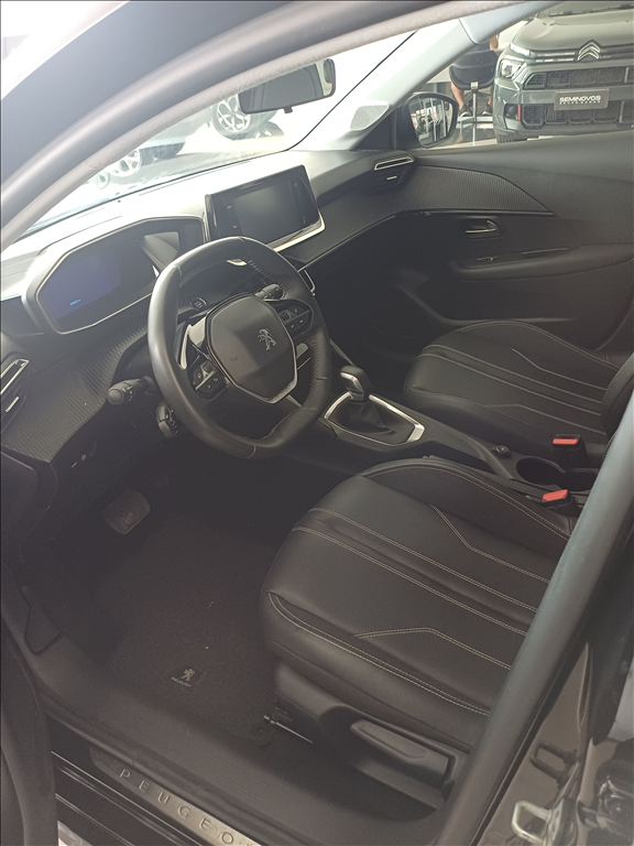 208 1.6 16V FLEX GRIFFE AT66