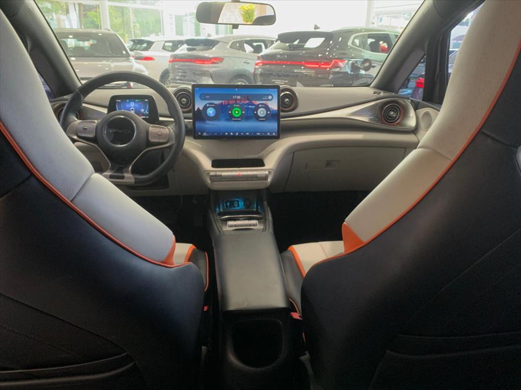 DOLPHIN 44,9 KW ELÉTRICO8