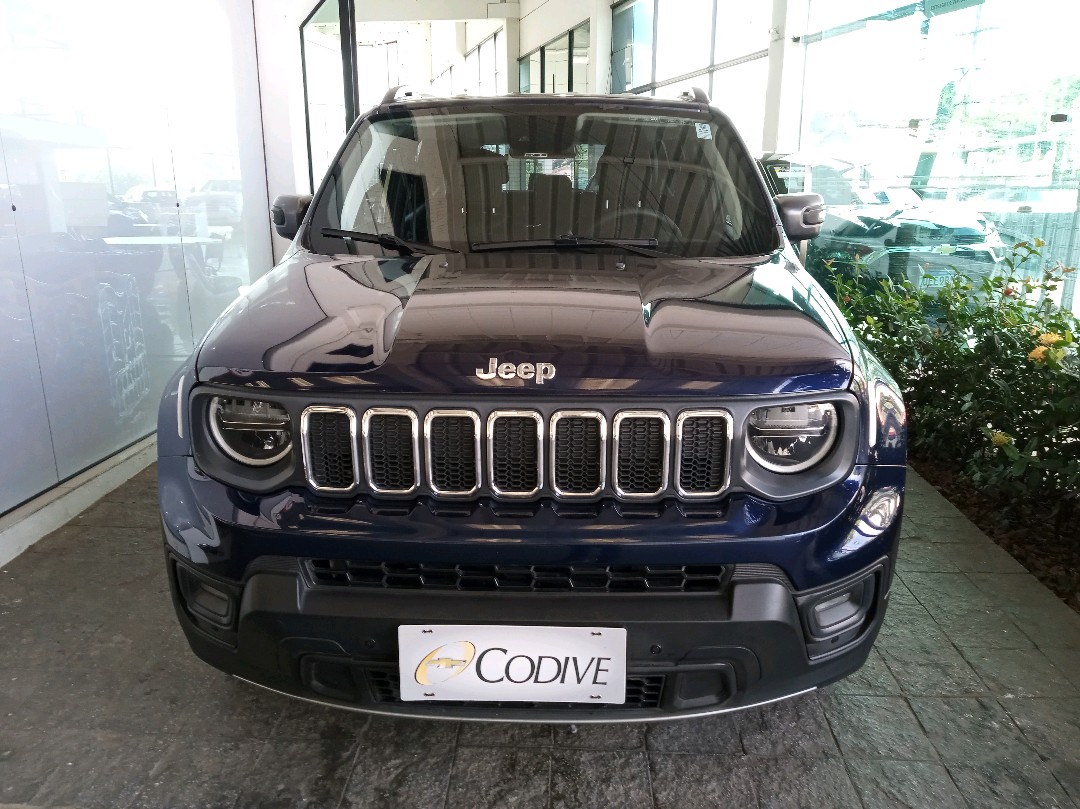 RENEGADE 1.3 T270 TURBO FLEX LONGITUDE AT62