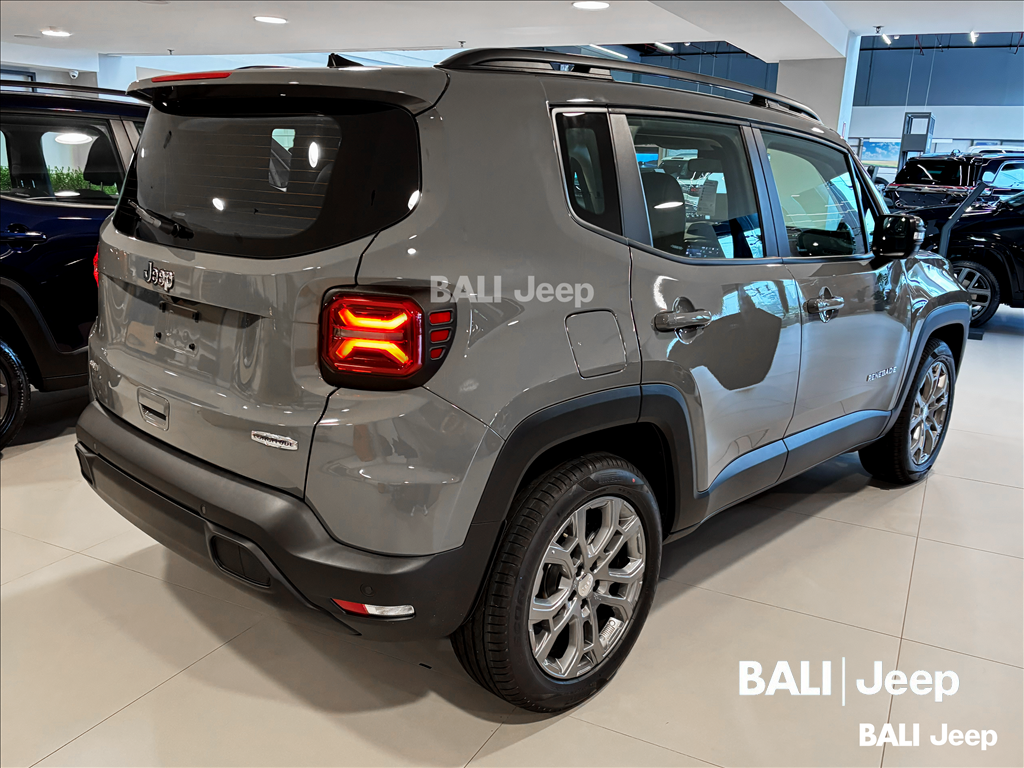 RENEGADE 1.3 T270 TURBO FLEX LONGITUDE AT63