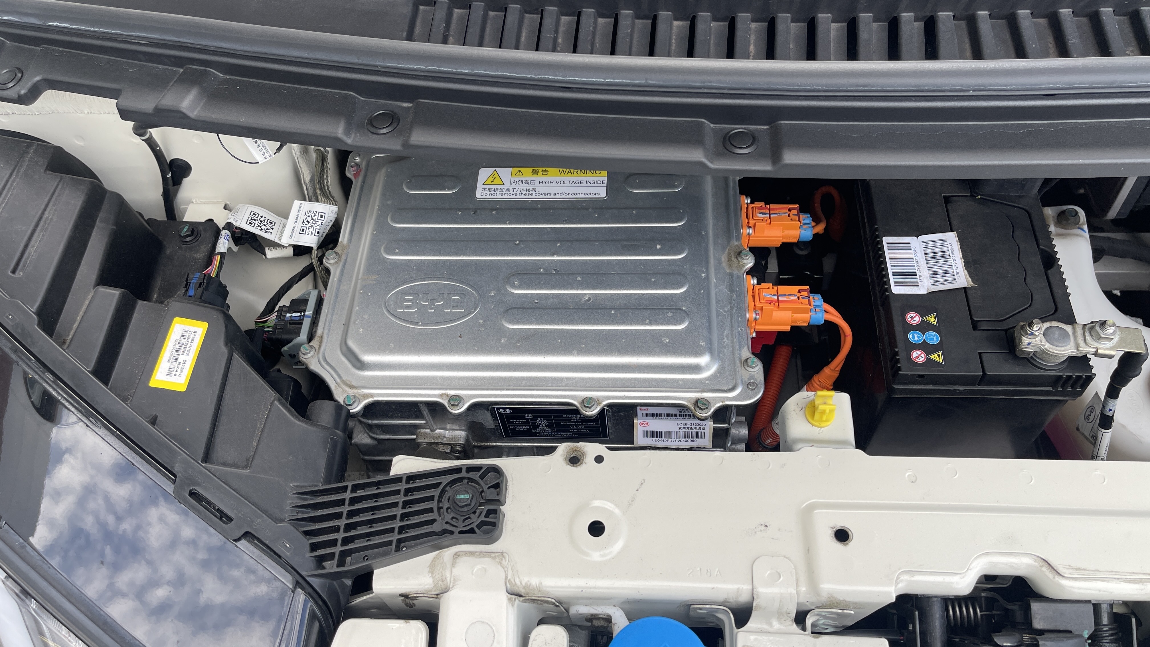 DOLPHIN MINI 38 KW ELÉTRICO9