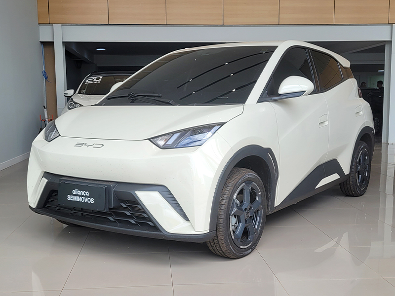 DOLPHIN MINI 38 KW ELÉTRICO