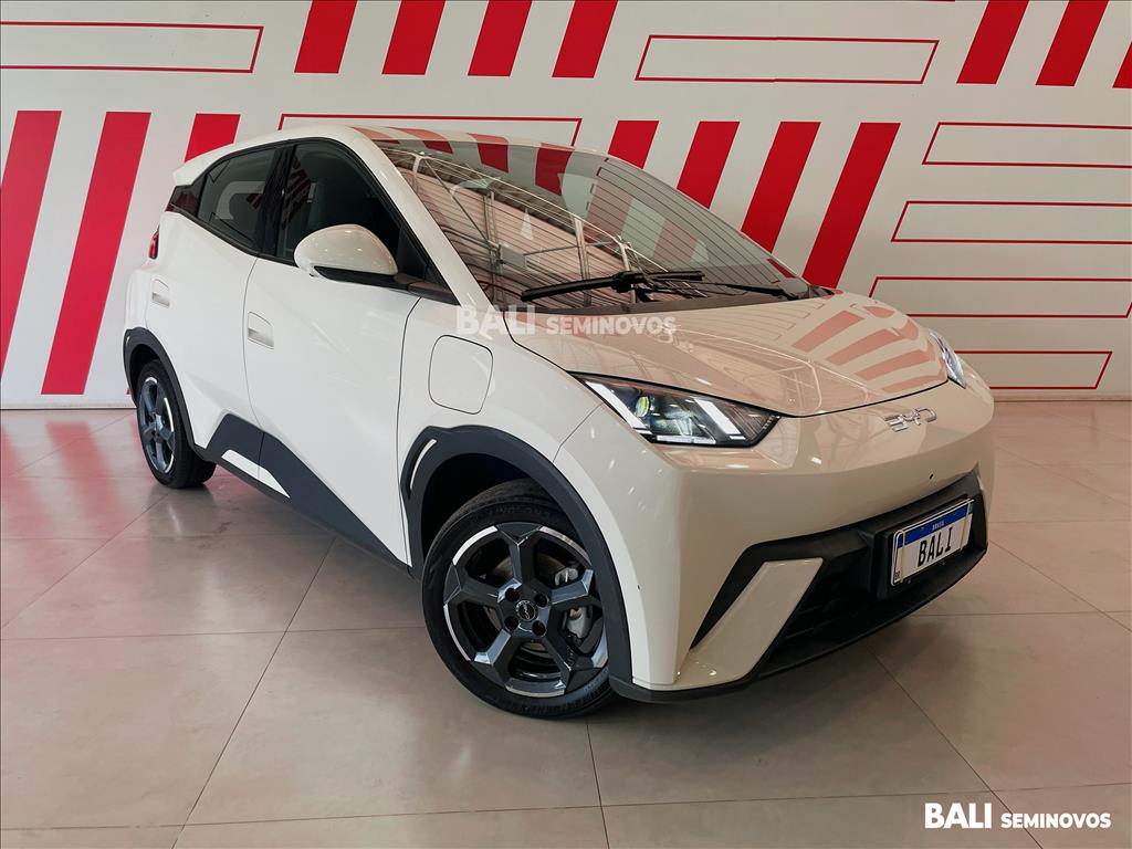 DOLPHIN MINI 38 KW ELÉTRICO