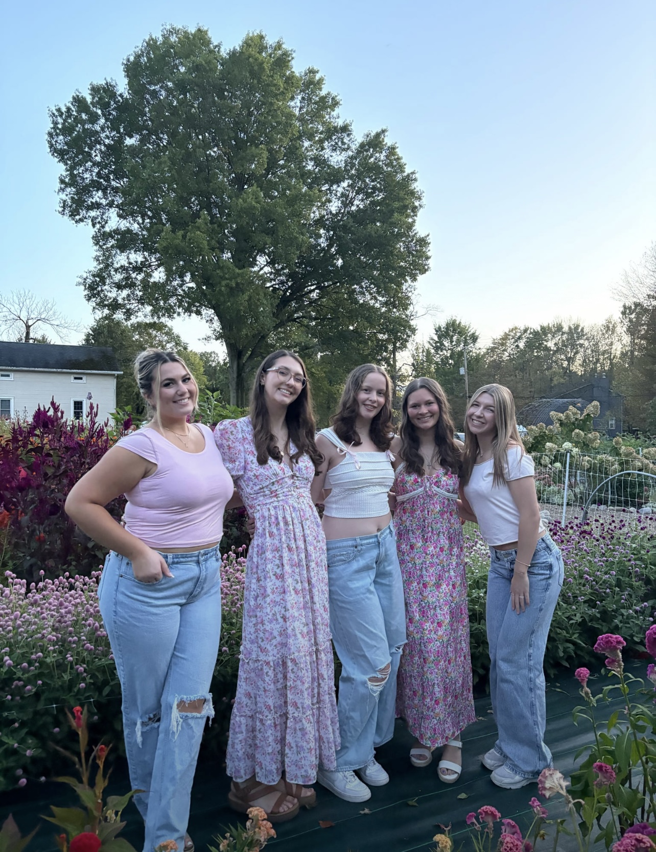 Flower Patch Pictures Fall 2025