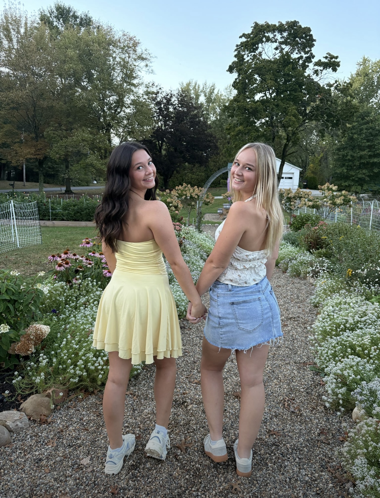 Flower Patch Pictures Fall 2025