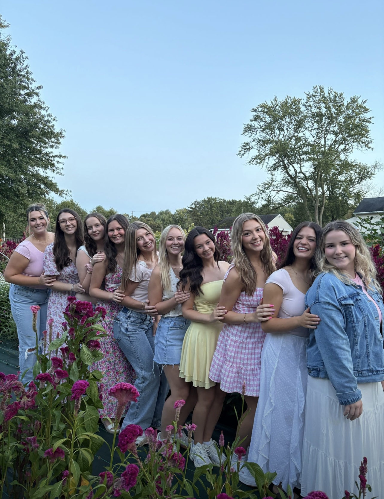 Flower Patch Pictures Fall 2025