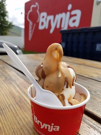 vegan ice cream iceland