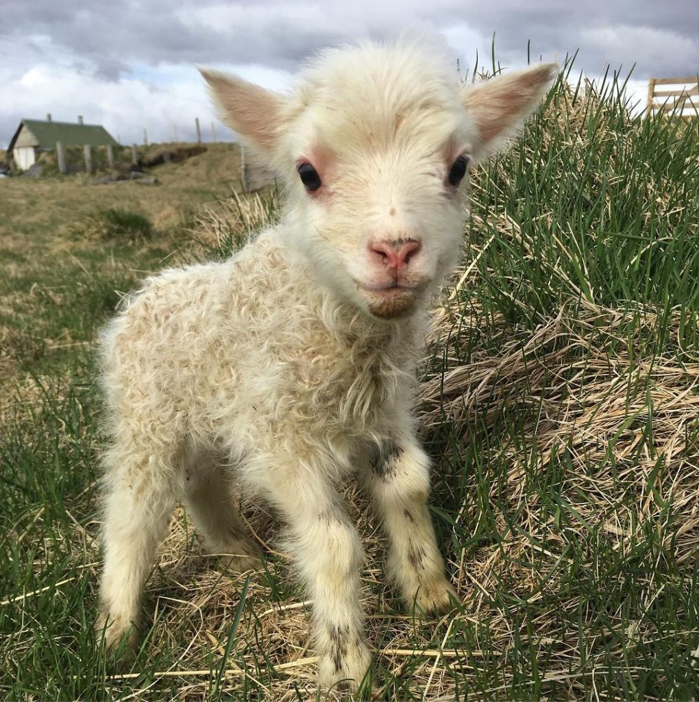 Best Time to Visit Iceland the Summer All about Iceland