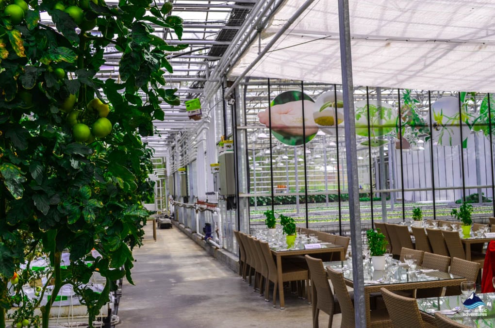 Where to eat on the Golden Circle in Iceland