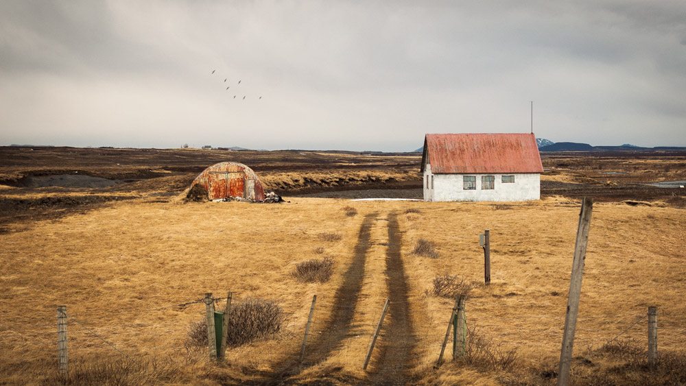 How to move to Iceland? All About Iceland