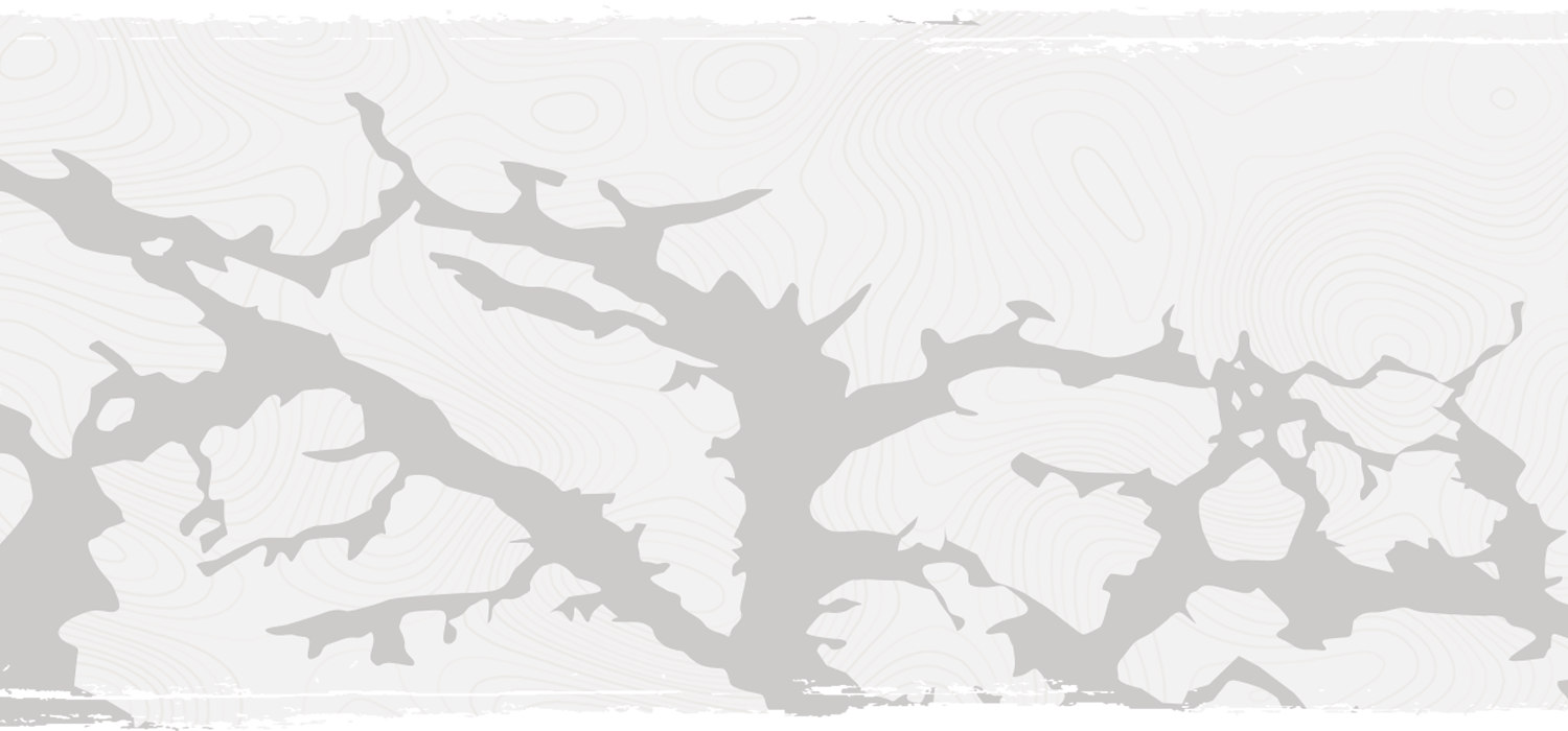 Alaska Loop Route Profile