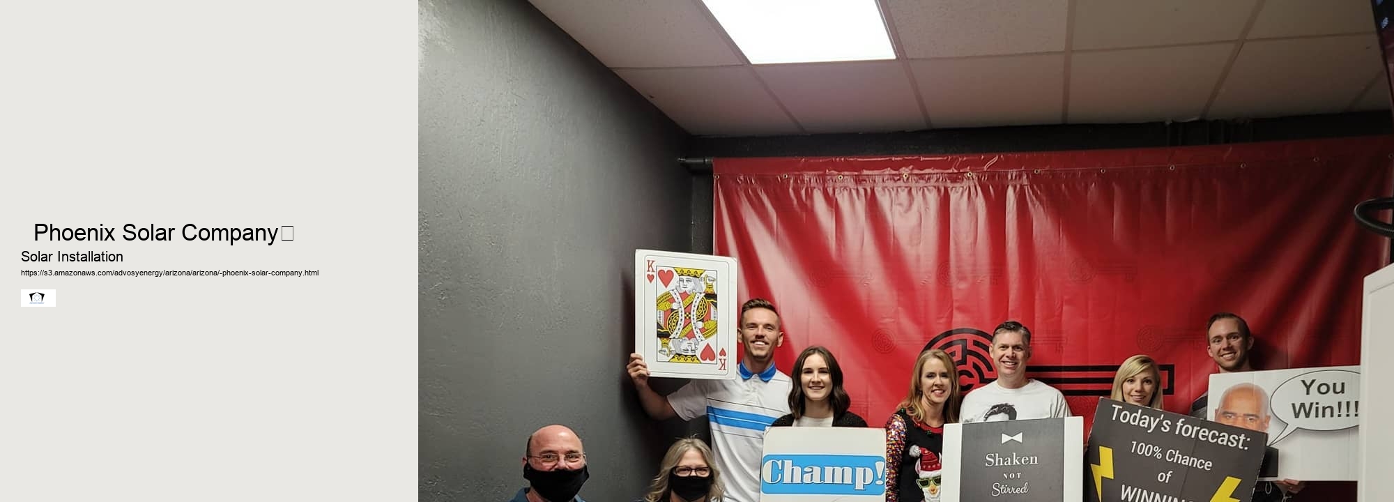   Phoenix Solar Company	 